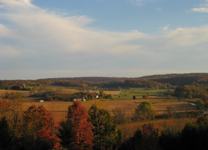 May include: A scenic view of a rural landscape with rolling hills, fields, and trees in various shades of green and brown. The sky is a light blue with white clouds.