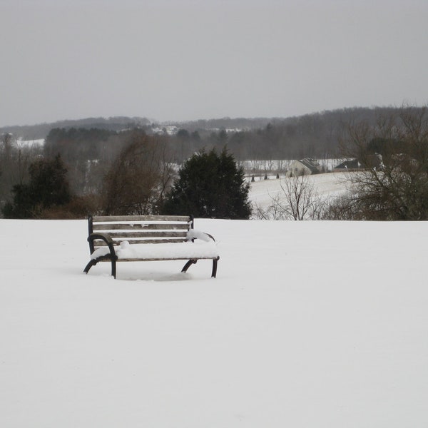 Solitary Bench 8X10 Photo, rustic cabin decor, Winter Photography, Winter landscape, Black and White, Snow Photography, Bench photo