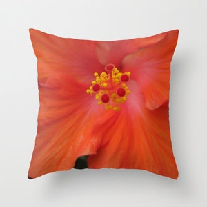 May include: Close-up of a vibrant orange hibiscus flower with a yellow center and red pistils.