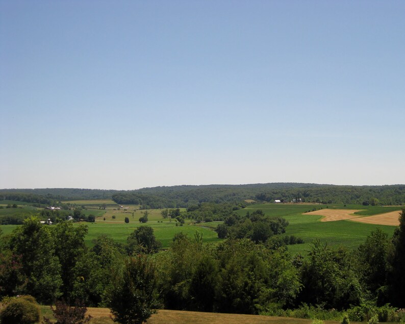 May include: A panoramic view of a rural landscape with rolling green hills, fields, and trees under a clear blue sky.