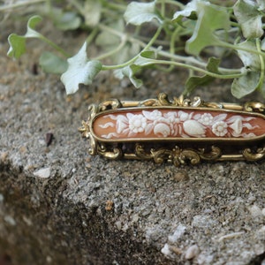 Antique Victorian Carved Shell Cameo Brooch, Pinchbeck, Floral Design, Gold Scrollwork Design, 1800s