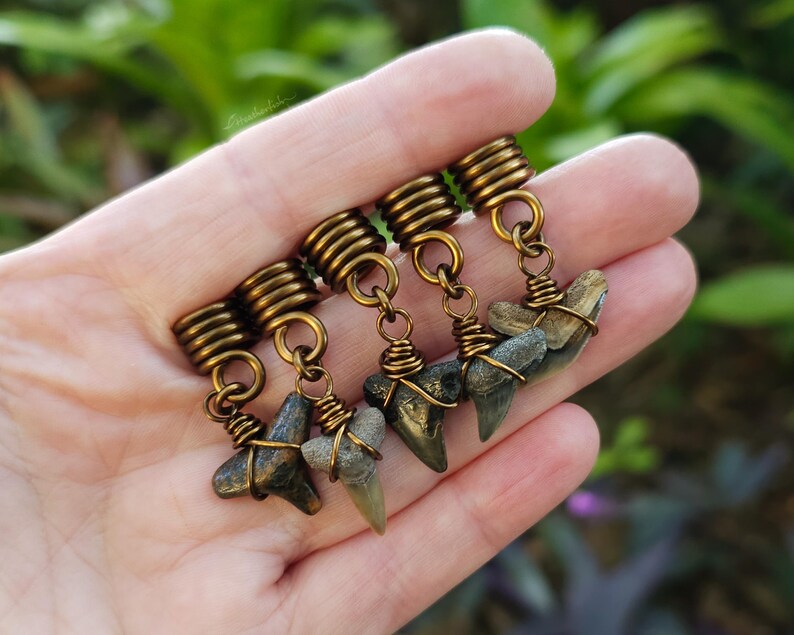 May include: Five bronze-colored hair coils with small shark tooth pendants. Each tooth is a different shade of gray and brown, wrapped in bronze wire. The coils are attached to the pendants with small bronze rings.