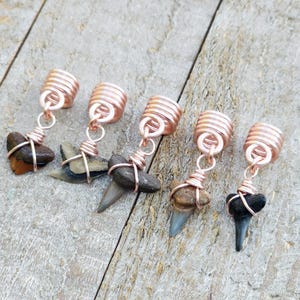 May include: Five handmade copper wire wrapped shark tooth pendants. Each pendant features a different colored shark tooth, ranging from brown to black, suspended from a copper coil.