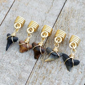 May include: Five handcrafted earrings featuring fossilized shark teeth. Each tooth is wrapped in gold-colored wire and suspended from a gold-toned cylindrical bead. The teeth vary in color from black to brown and tan.