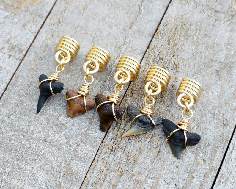 May include: Five handcrafted earrings featuring fossilized shark teeth. Each tooth is wrapped in gold-colored wire and suspended from a gold-toned cylindrical bead. The teeth vary in color from black to brown and tan.