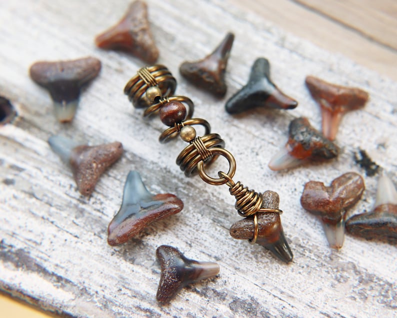 May include: A gold-toned hair wrap with brown beads and a shark tooth charm. The hair wrap is surrounded by fossilised shark teeth.