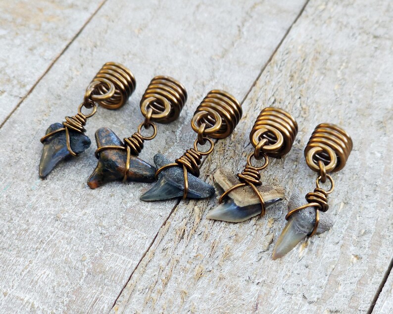 May include: Five handcrafted shark tooth pendants. Each pendant features a natural shark tooth wrapped in copper wire, suspended from a coiled brass bead. The shark teeth vary in color, with shades of gray, brown, and cream.