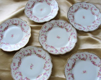 CHARMING Bridal Rose Pink Roses Tea Plates,Set of 6, MZ Czech Fine Bone China,Fine Dining Dinnerware,Bridal Shower Wedding Gifts,Tea Parties