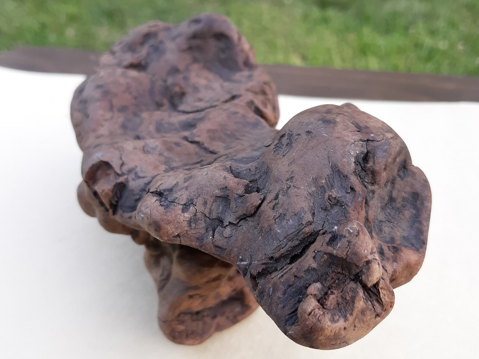 MANZANITA ROOT BURL 10 Inches Long Etsy