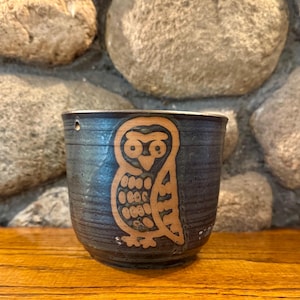 May include: A dark brown ceramic planter with a hanging hole and a brown owl design. The owl has a detailed pattern and is centered on the planter.