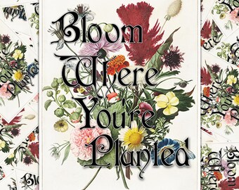 Eco-friendly Grow Where You're Planted Sticker