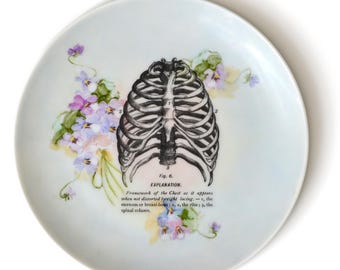 Ribcage Medical Spooky Wall Art Redesigned/Upcycled Vintage China Vintage Home Decor