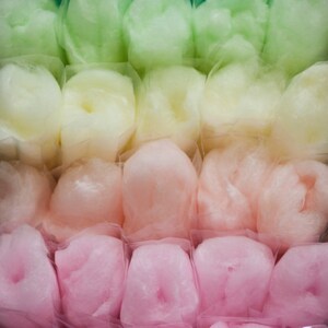 50 Small Cotton Candy Party Favors with Custom Labels