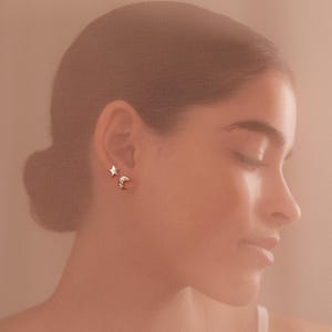 GOLD OR SILVER Moon & Star Hypoallergenic Earrings