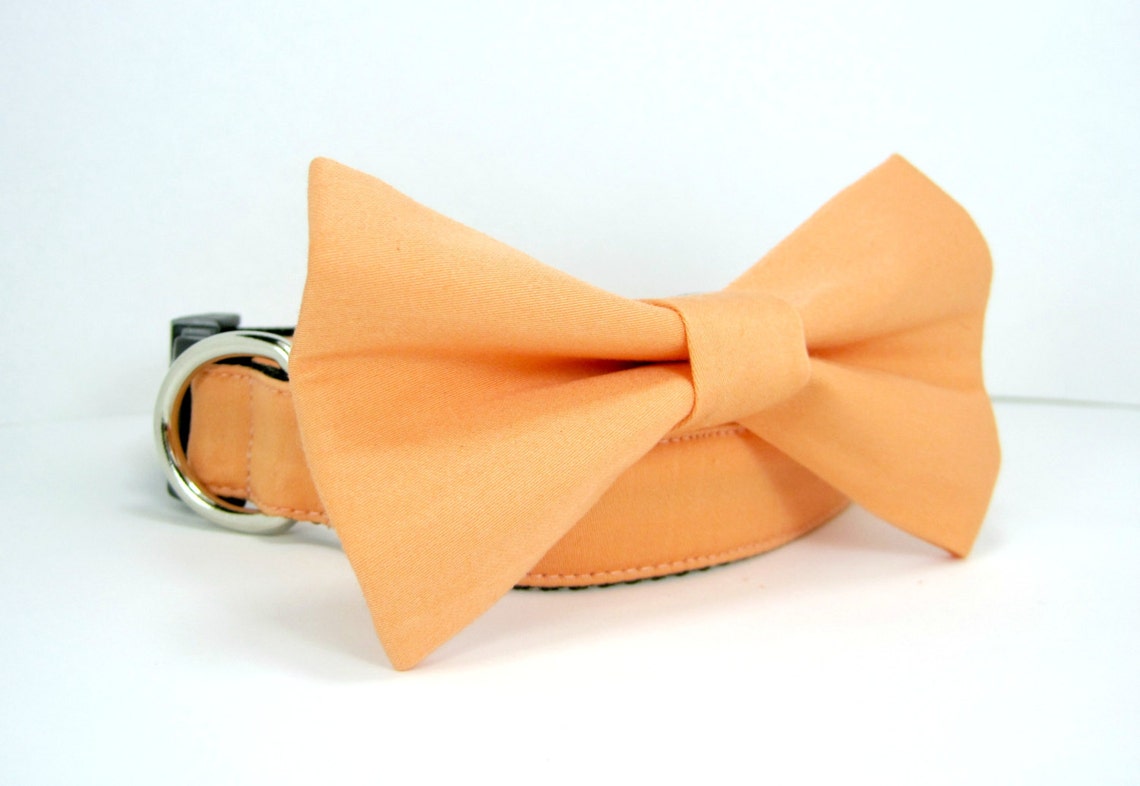 Wedding Dog Collarpeach Dog Collars With Bow Tie Set Etsy