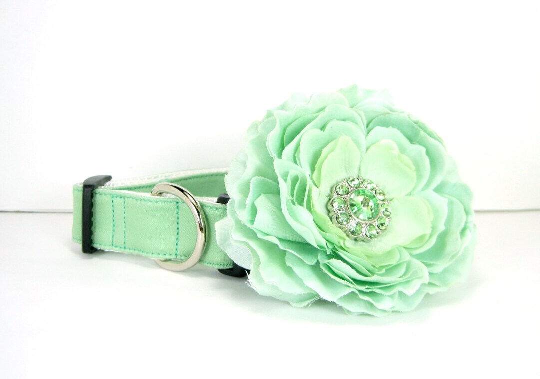 Wedding Dog Collar Sage Green Dog Collar With Flower Set Etsy