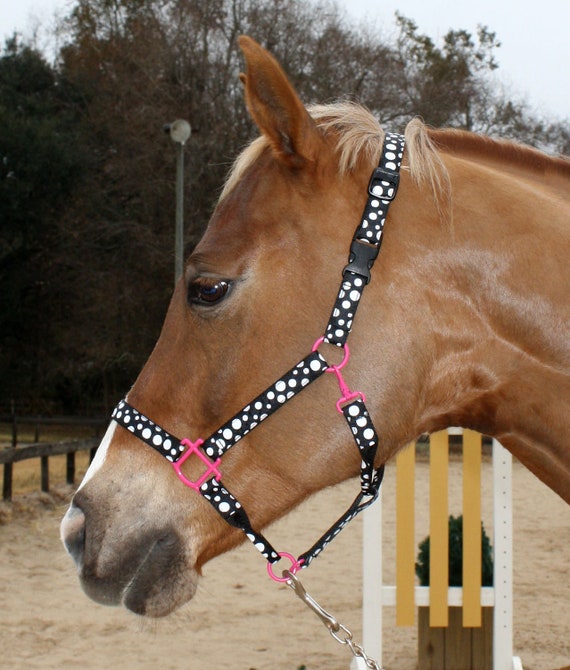 Items similar to Black and White Polkadots Horse Halter Pick Your