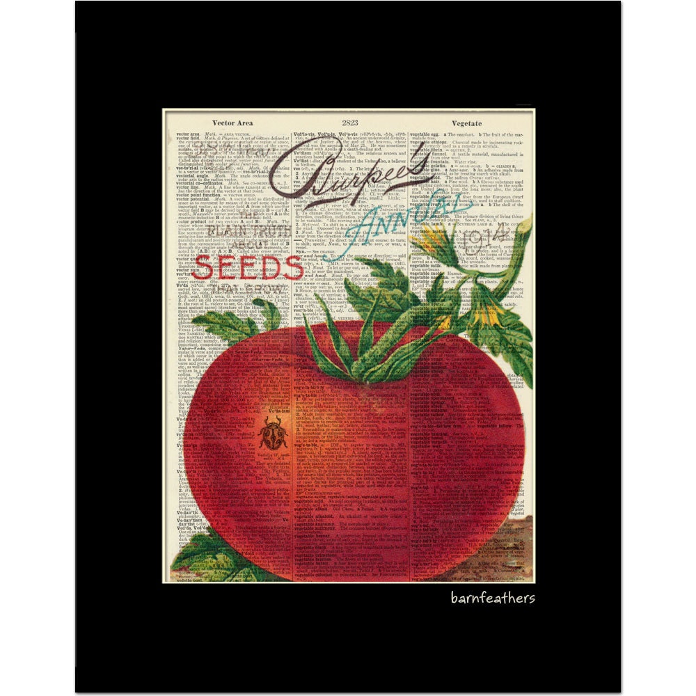 Vintage Dictionary Art Print Tomato Gardening Dictionary Page Book Art Print Home Decor No. P95