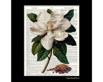 Botanical Art Print - Flowering Magnolia - Dictionary Art Print - Gardening - Dictionary Page - Book Art Print  - Wall Decor No. P699