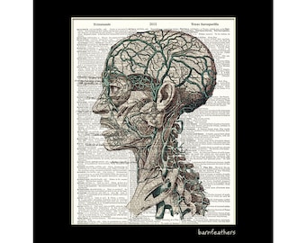 Anatomy HEAD Illustration - Dictionary Art Print - Vintage Medical Illustration - Book Page Art Print No. P466