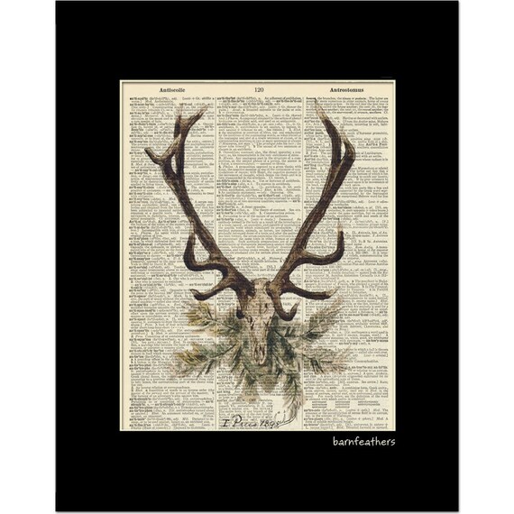Antlers definition 2024