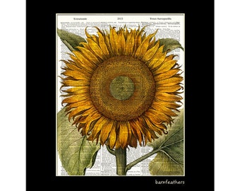 Vintage Dictionary Art Print Sunflower Gardening | Etsy