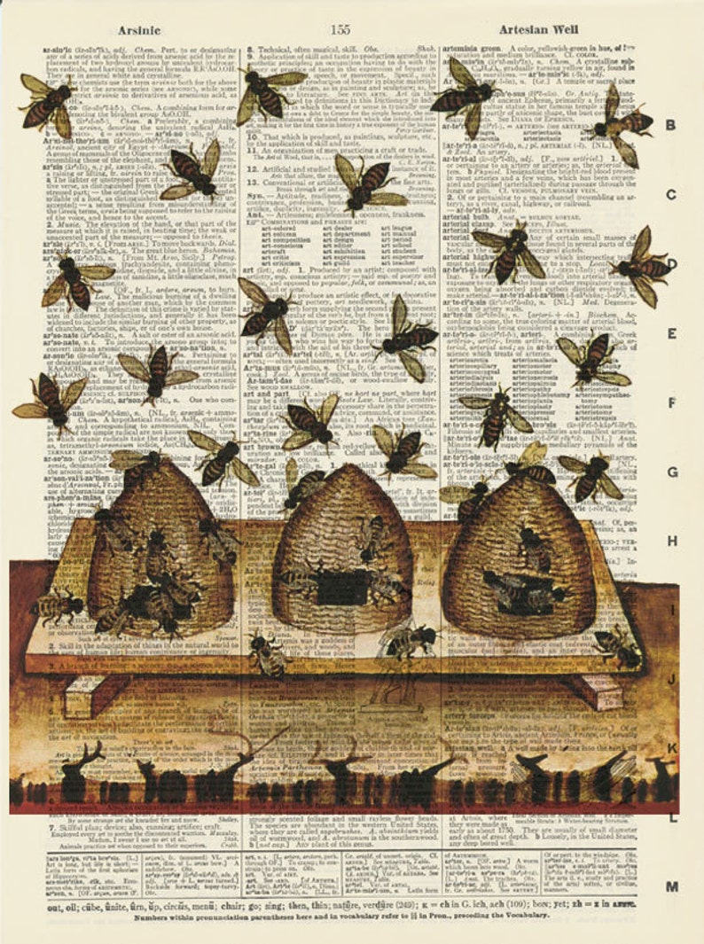 Bee Hives Dictionary Art Print Vintage Illustration on Etsy