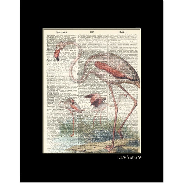 Dictionary Art PINK FLAMINGO Bird Print vintage dictionary page book art print No.P131