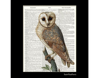 Barn Owl Art Print - Vintage Dictionary Art Print - Vintage Owl Illustration - Book Page Art - Wall Decor No. P456