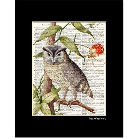Vintage Owl Illustration Dictionary Art Print Book Page | Etsy