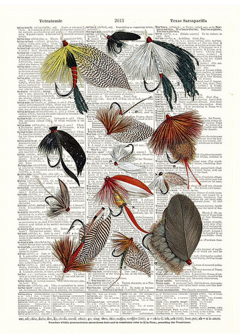 Hand Tied Fishing Flies Dictionary Art Print Book Page Art - Etsy