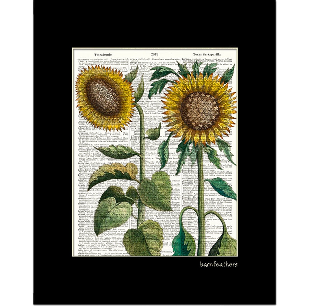 Vintage Dictionary Art Print - Sunflower - Gardening - Dictionary Page - Book Art Print - Home ...