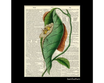 TAILORBIRD NEST Dictionary Art Print Vintage Dictionary Page Book Art Print No.P239
