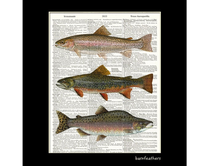 Vintage Dictionary Art Print Fish Trout Salmon Dictionary Etsy