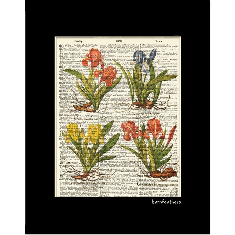 Vintage Dictionary Art Print IRIS FLOWERS Dictionary Page Book Art Print Home Decor No. P135 Etsy
