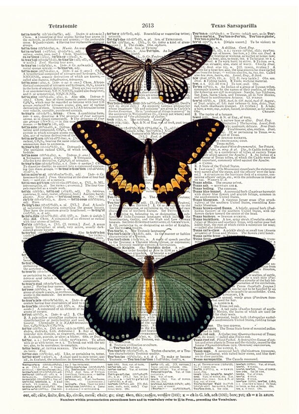 Butterflies Dictionary Art Page Antique Dictionary Print Etsy
