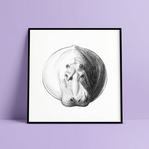 Estampado de vida silvestre. Dibujo de hipopótamo. Arte mural hipopótamo. Cartel de animales. Dibujo a lápiz. Dibujo en blanco y negro. Estampado natural. Cartel de vida silvestre