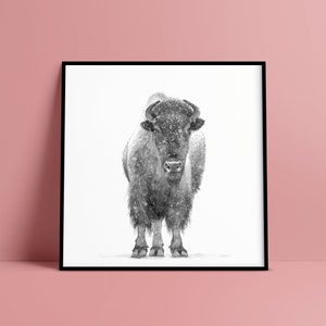 Wildlife print. Bison drawing. Buffalo drawing. Bison wall art. Yellowstone buffalo. Animal poster. Black and white drawing. Nature print