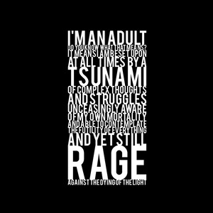 Soy un adulto. ¿Sabes lo que eso significa? - Camiseta negra ENVÍO GRATIS