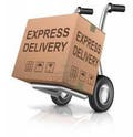 Express shipping product logo