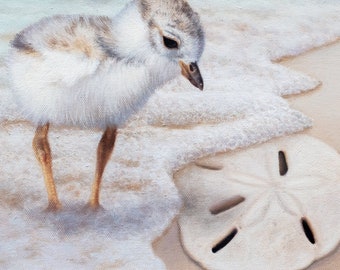Lindo chorlito playero - Arte de fauna costera con olas del océano - Impresión giclée en lienzo como decoración playera - Arte náutico para pared