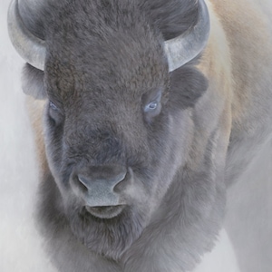 Big Bison - A Powerful Buffalo Painting - Western Home Decor - Signed by Artist - A Giclee Wildlife Art Print on Canvas - Nature Painting