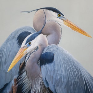 Beautiful Blue Heron Painting - A Canvas Print for your Home Decor - Very Limited Edition of 95 and Signed by Artist - Shorebird Coastal Art