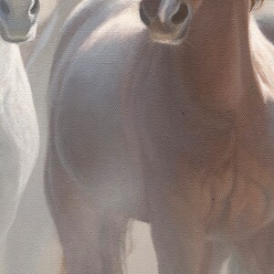 May include: Close-up of three horses' necks and heads. The horse on the left is white, the horse in the center is white with brown markings, and the horse on the right is brown.