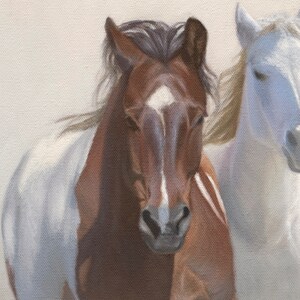 May include: A close-up of two horses, one brown and white and the other white, with their heads turned towards the camera. The horses are in a field with a light background.
