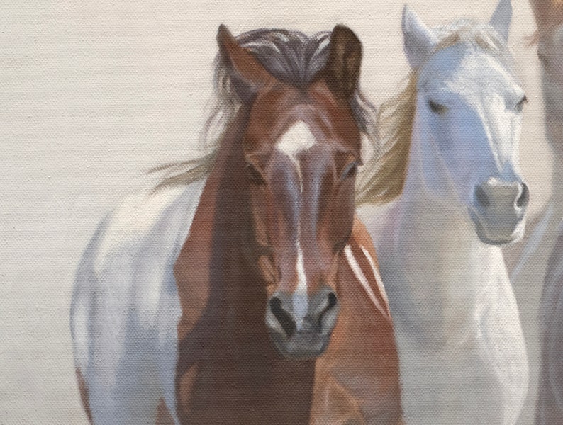 May include: A close-up of two horses, one brown and white and the other white, with their heads turned towards the camera. The horses are in a field with a light background.