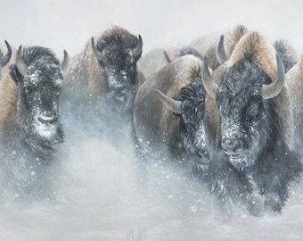 The Thundering Herd - Limited Edition North American Bison Buffalo Wildlife Art - Giclee Canvas Print Western Home Decor - Artist Signed