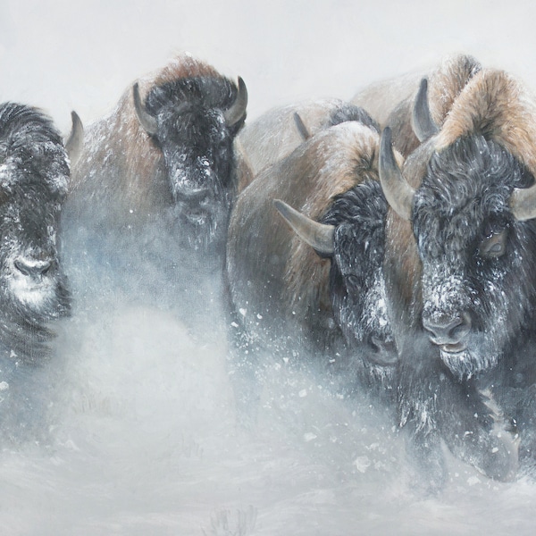 The Thundering Herd - Limited Edition North American Bison Buffalo Wildlife Art - Giclee Canvas Print Western Home Decor - Artist Signed
