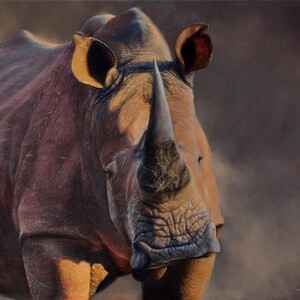 African Rhino Wildlife Art - Giclee Canvas Print Safari Home Decor - Limited Edition Artist Signed - Nature Painting Animal Wall Art