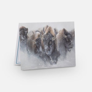 Bison Notecard Pack, Variety